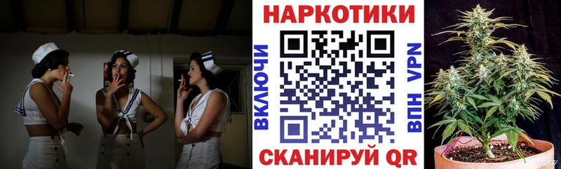 Галлюциногенные грибы Светлогорск