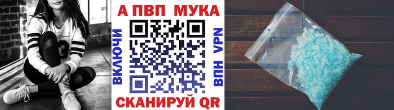 Купить закладки  Светлогорск  Альфа ПВП СК 