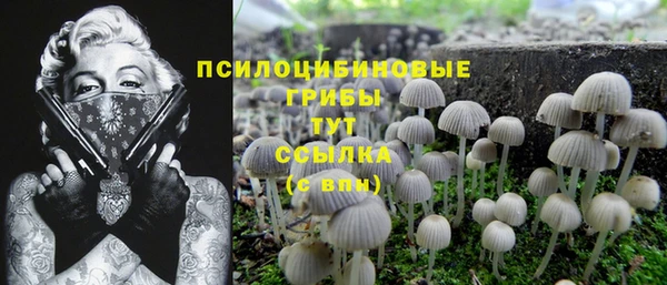 таблы Заводоуковск