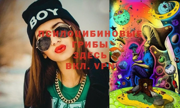 таблы Заводоуковск