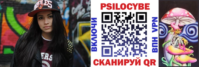 Галлюциногенные грибы мухоморы Купить закладки Светлогорск